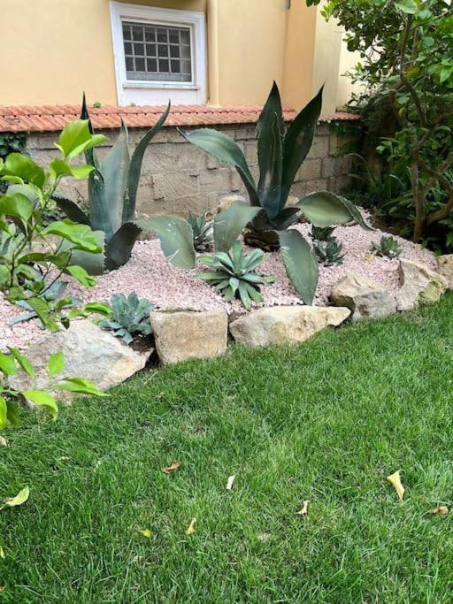 סורנטו Villa Vie En Rose מראה חיצוני תמונה