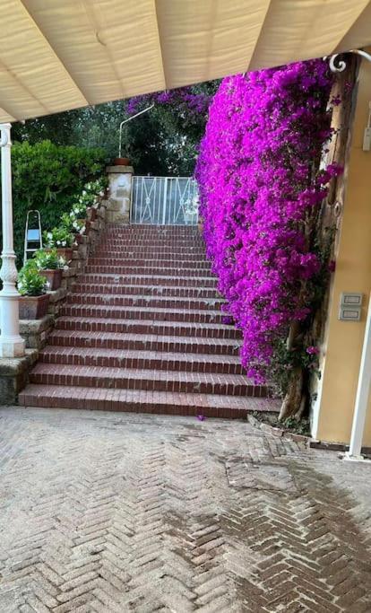 סורנטו Villa Vie En Rose מראה חיצוני תמונה